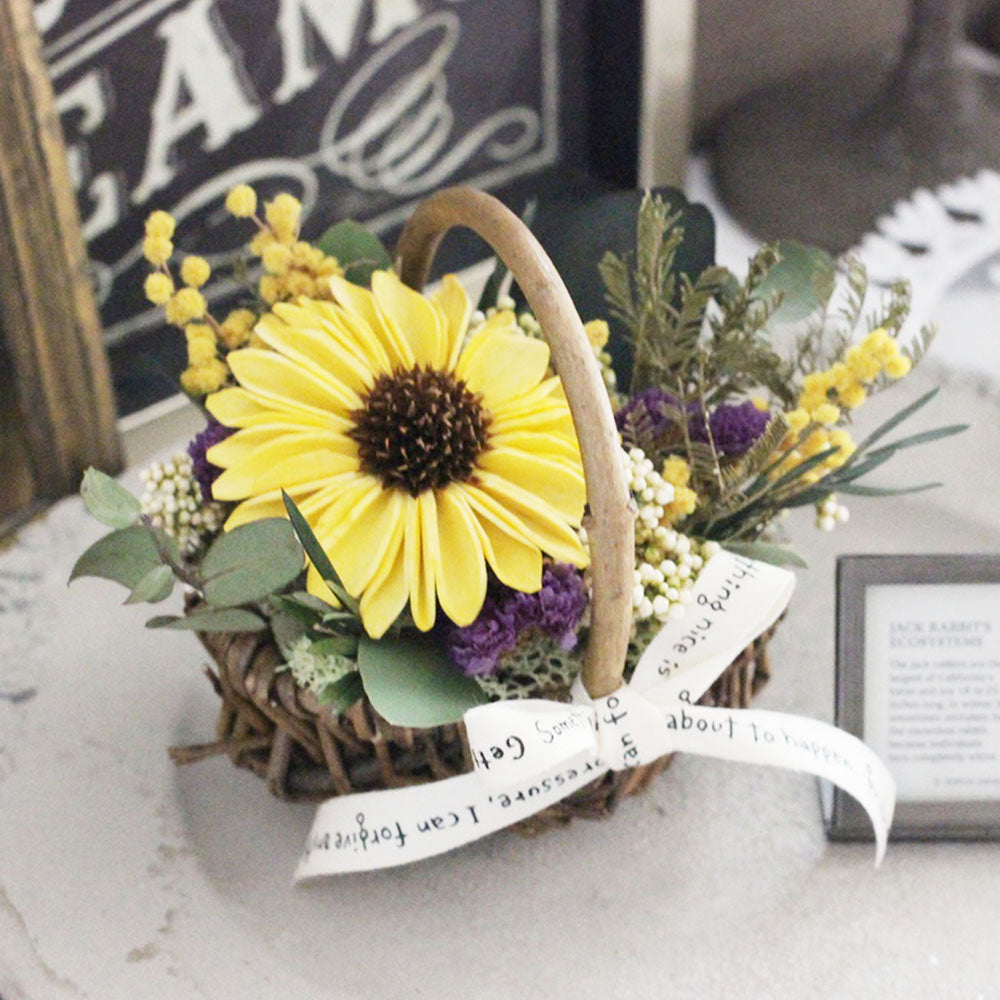 ひまわりのミニバスケット講座