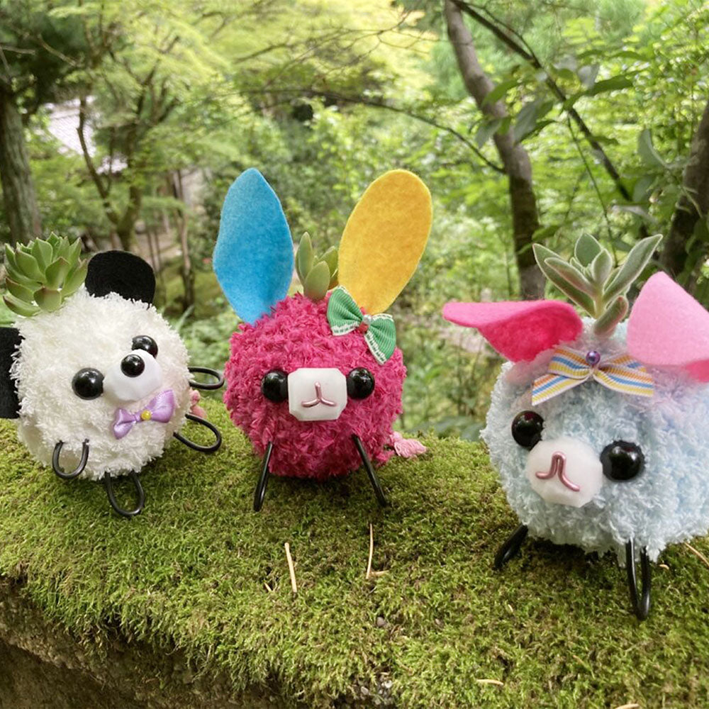 Moss Pet Class
